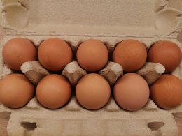 Куриные яйца в лотке