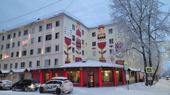 Дом с муралом в Мурманске.