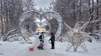 Двое людей с собаками стоят в парке зимой