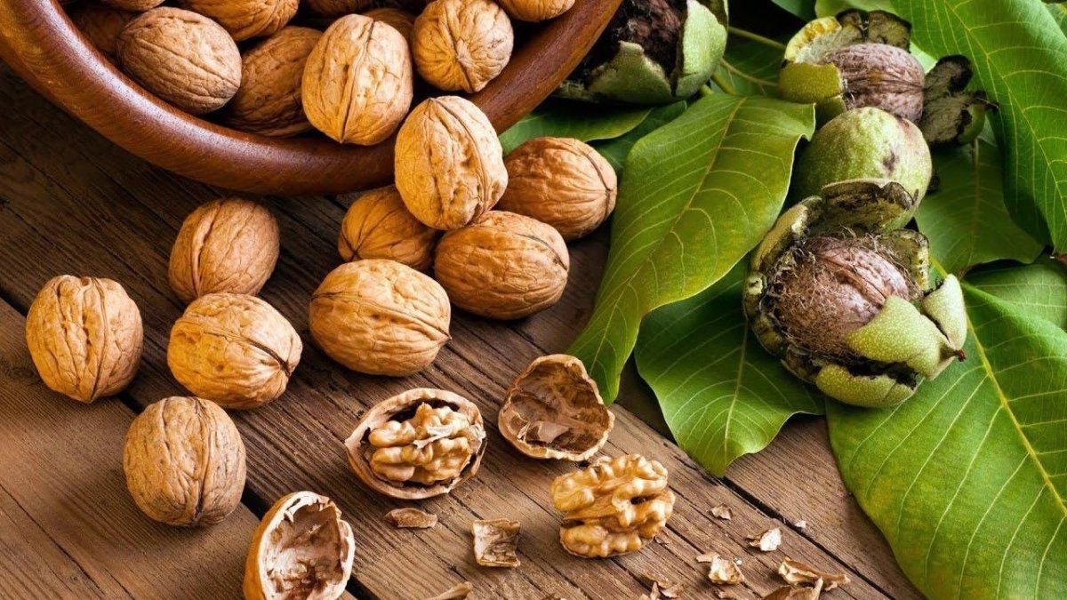 россыпь грецкий орехов