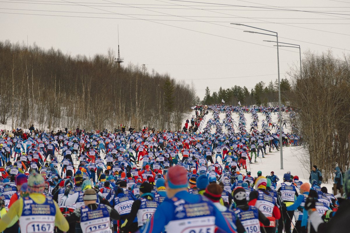 Мурманский лыжный марафон