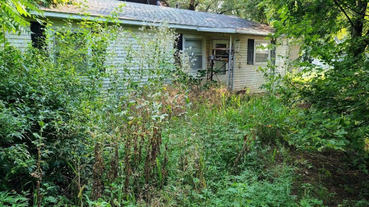 дачная постройка, заросшая сорняками