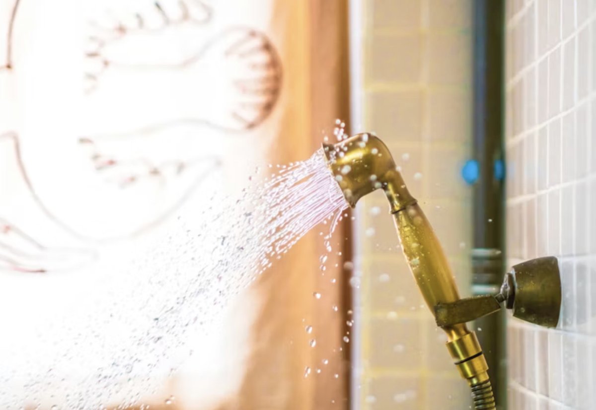 Душевая лейка