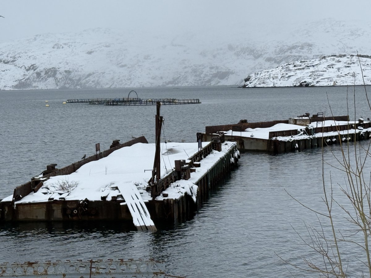 Причал №6 в Лиинахамари