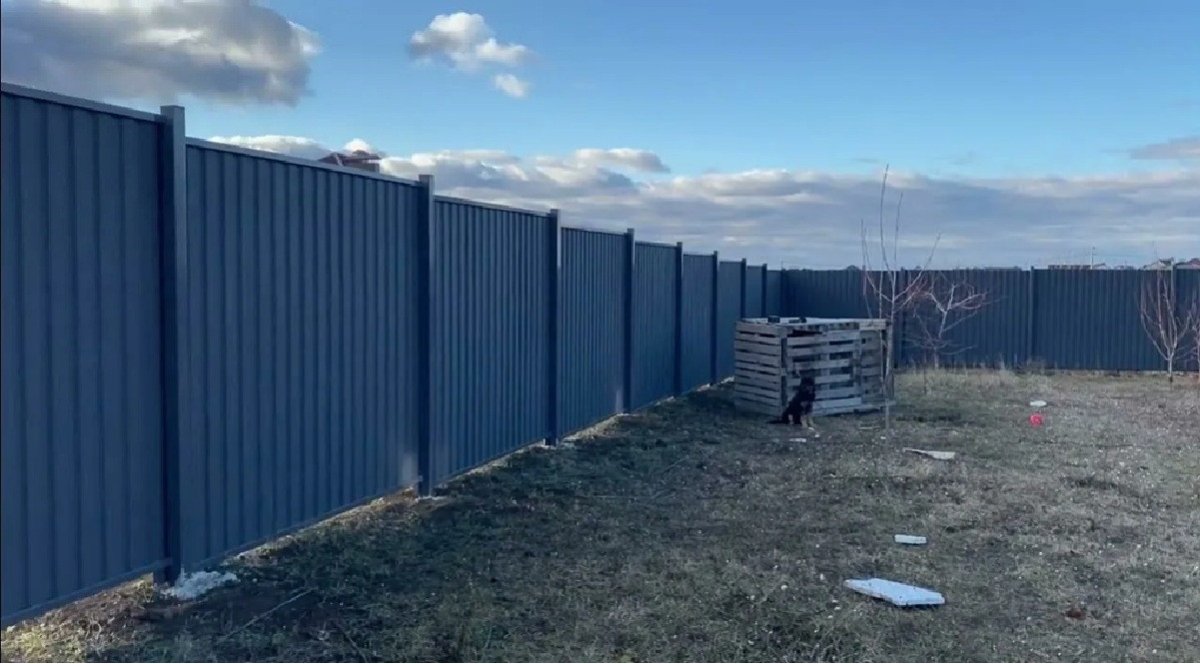 синий забор