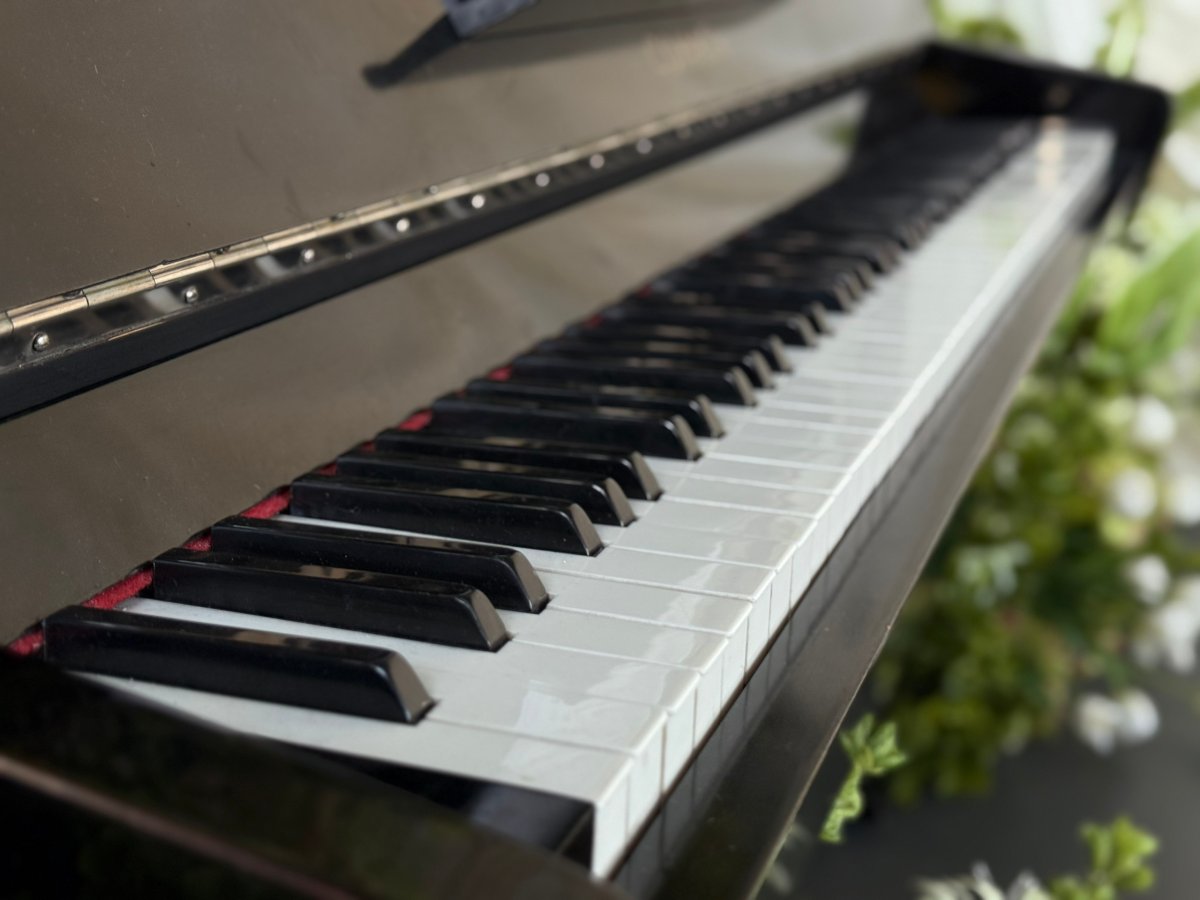 Клавиши фортепиано.