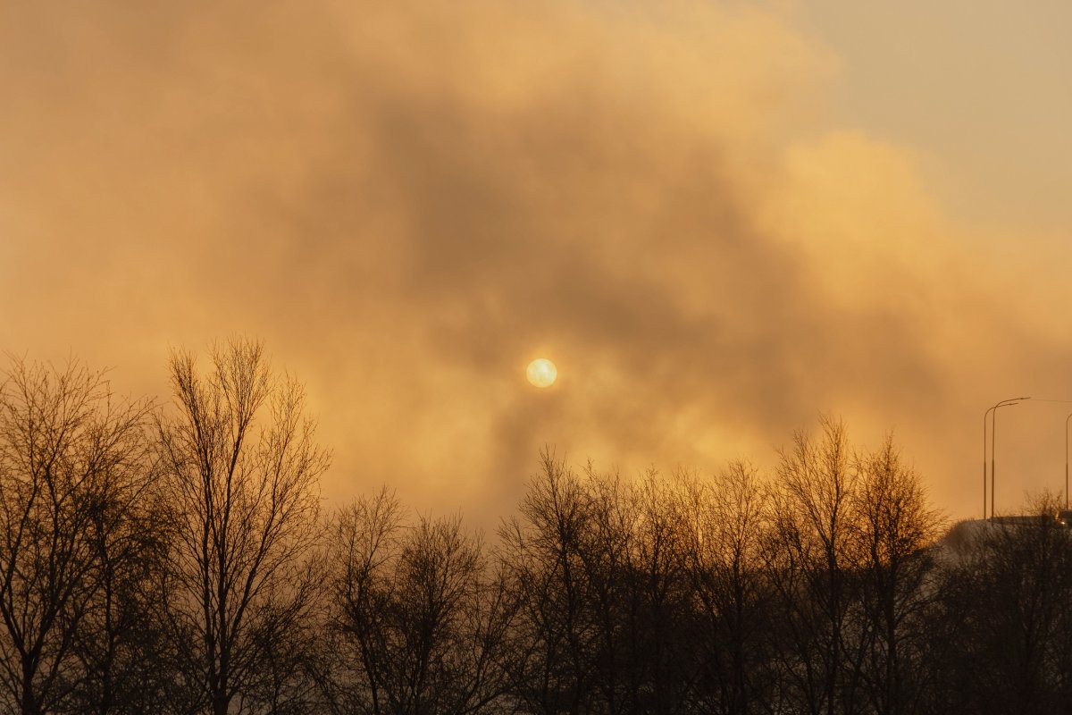 Солнце светит зимой.