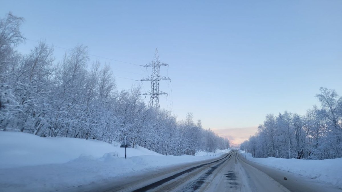 Дорога через лес зимой днём