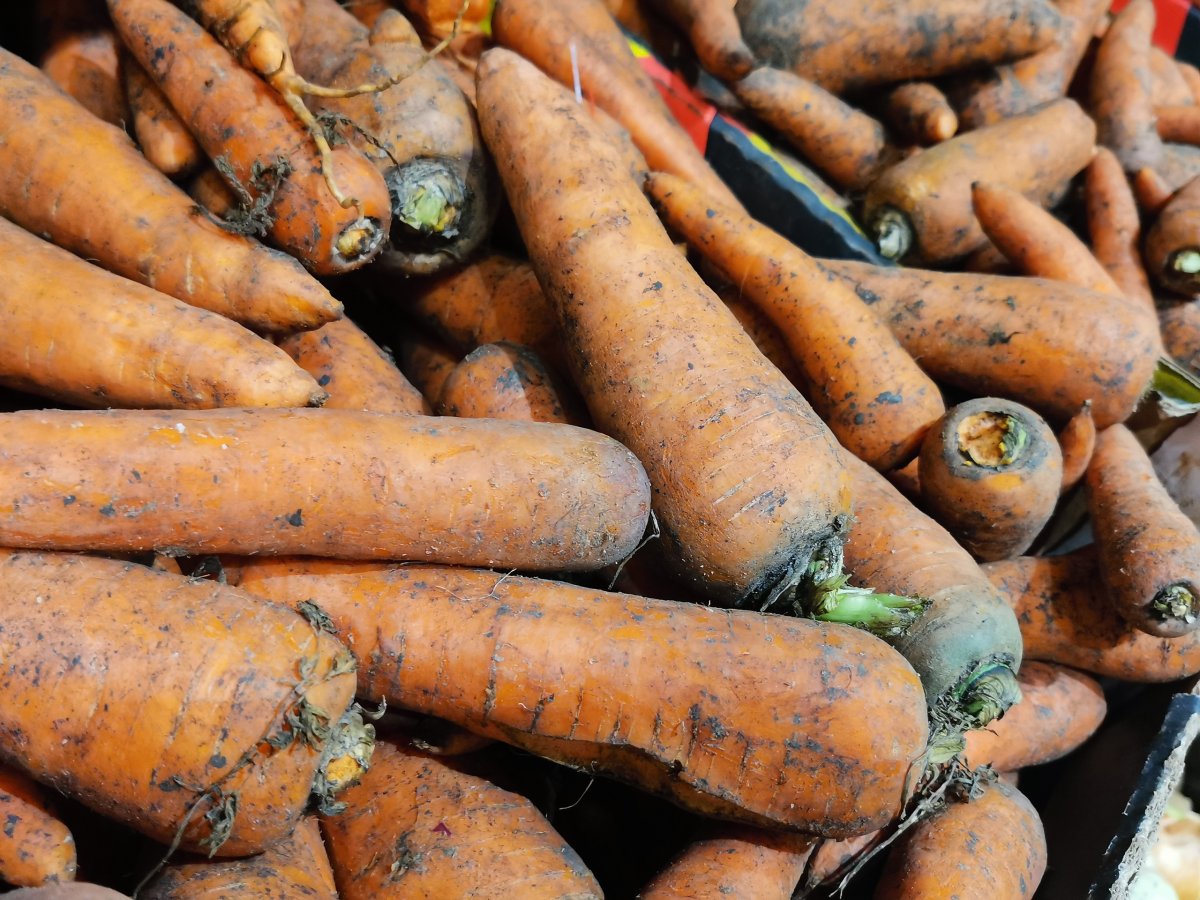 Морковь на прилавке магазина