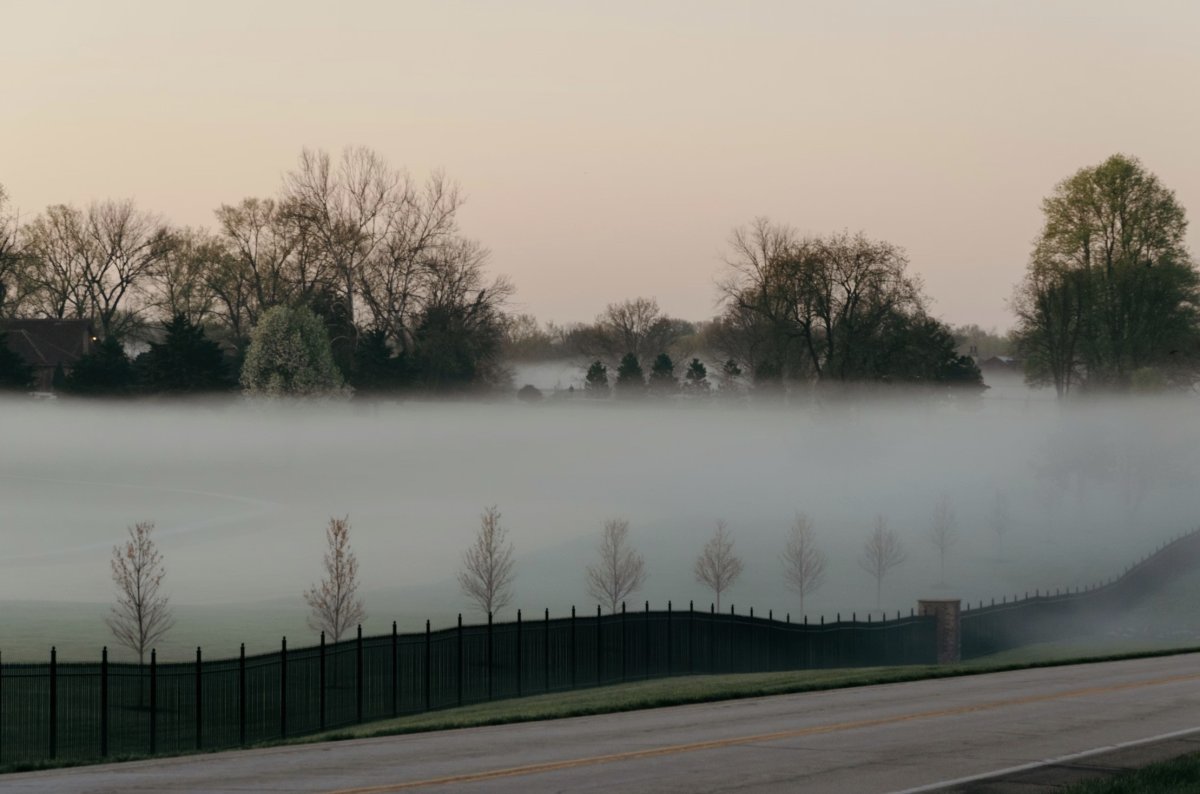 Улица в тумане