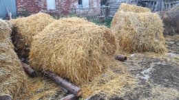 солома в стогах
