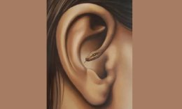 оптическая иллюзия с ухом