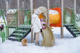 Мать с ребёнком и собакой в Мурманске