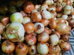 Репчатый лук в магазине