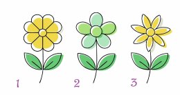 три разных цветка