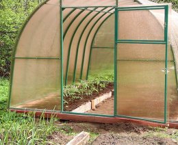теплица с зелеными дугами в огороде