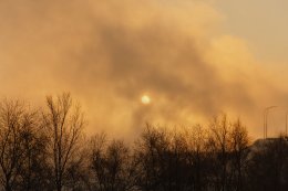 Солнце светит зимой.