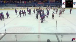 Молодёжный хоккей