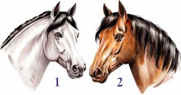 две лошади