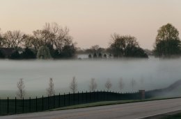 Улица в тумане