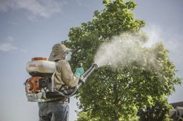 садовник опрыскивает крону дерева