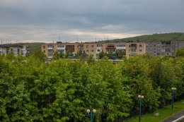 Деревья и дома в Мурманске