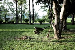 Садовая тачка на природе