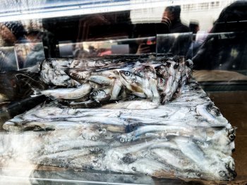 мороженая рыба мойва на прилавке