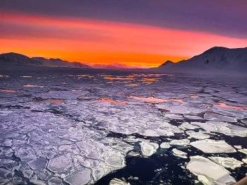 Лёд в море в Арктике