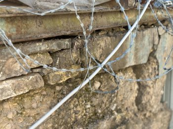 Колючая проволока