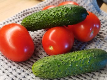 Огурцы и помидоры
