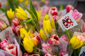 Букеты тюльпанов.