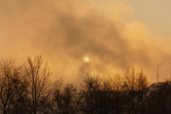 Солнце светит зимой.