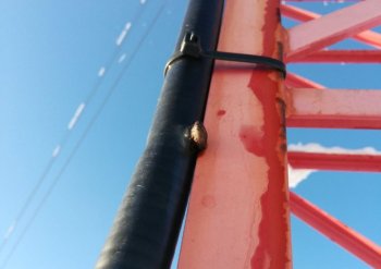 Попавшая в кабель пуля