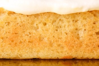 срез пористого бисквита