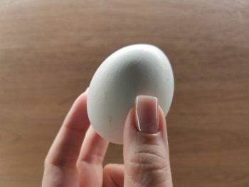 Куриное яйцо в руке