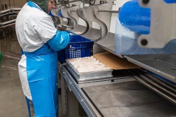 Производство рыбы в Мурманске