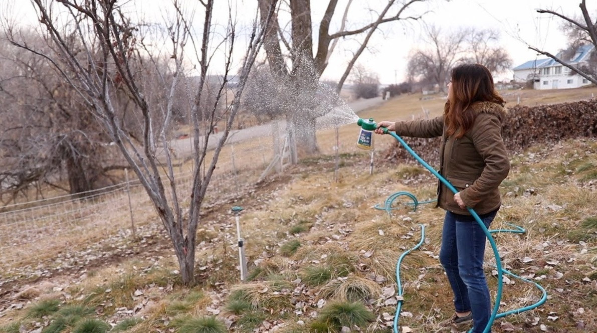 опрыскивание сада