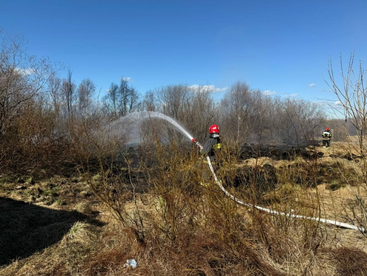 Пожарный тушит траву из шланга