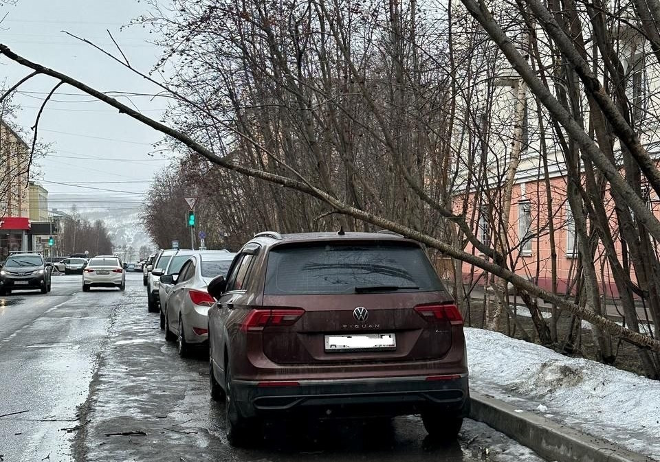 Дерево упало на машину