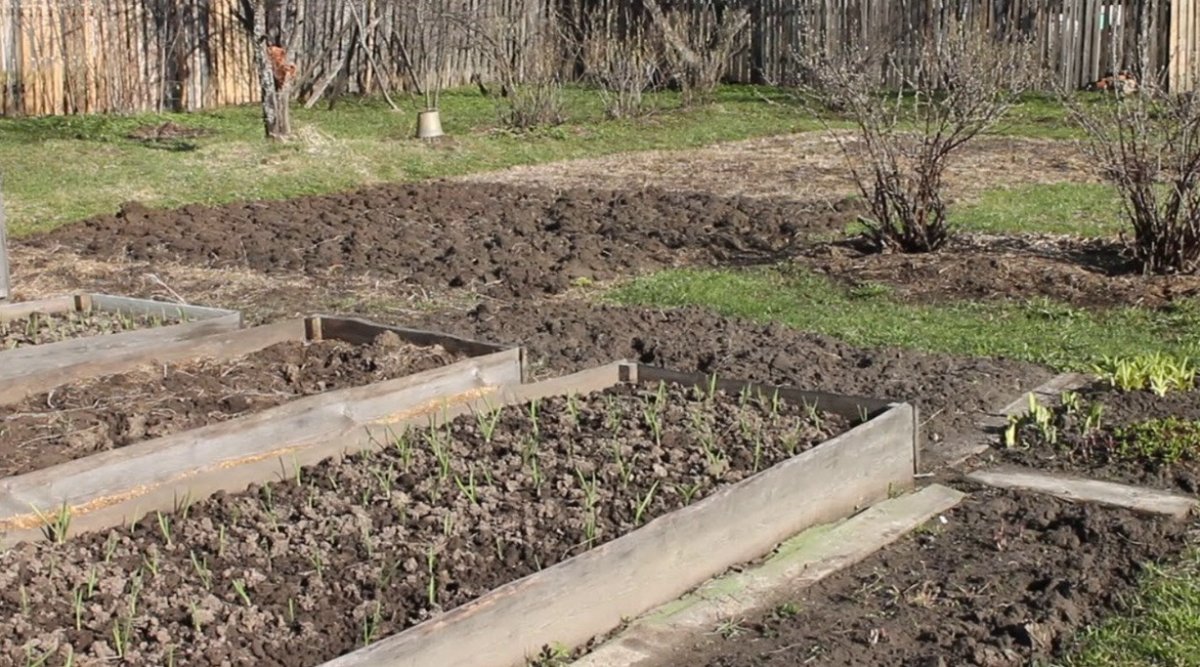 огород весной