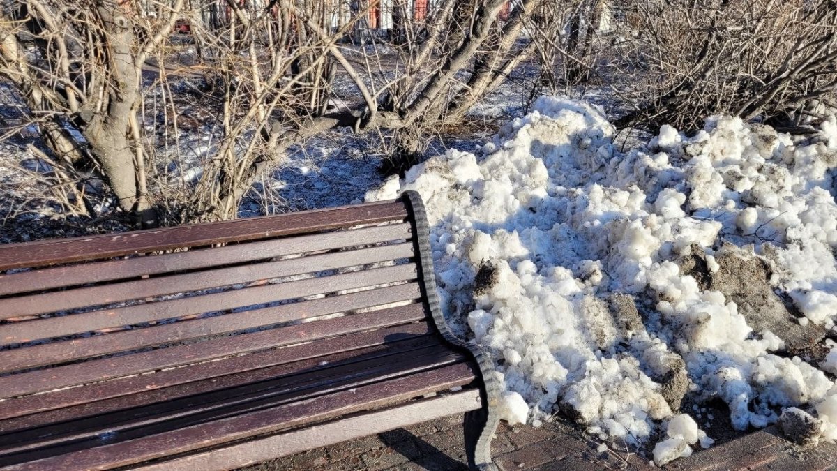 Кучка снега возле скамейки