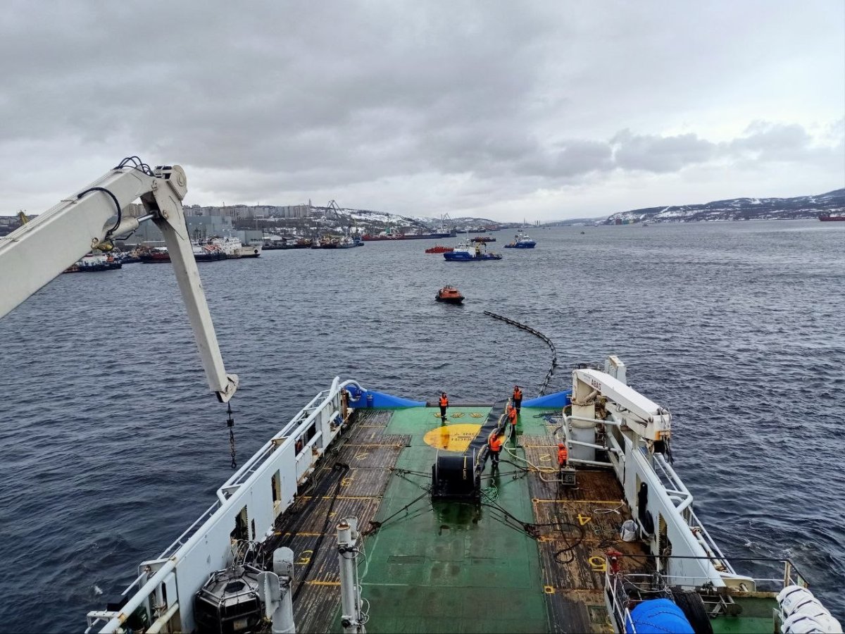 Учение Морской спасслужбы в Кольском заливе