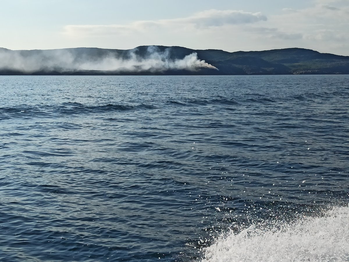 Лесной пожар в Мурманской области