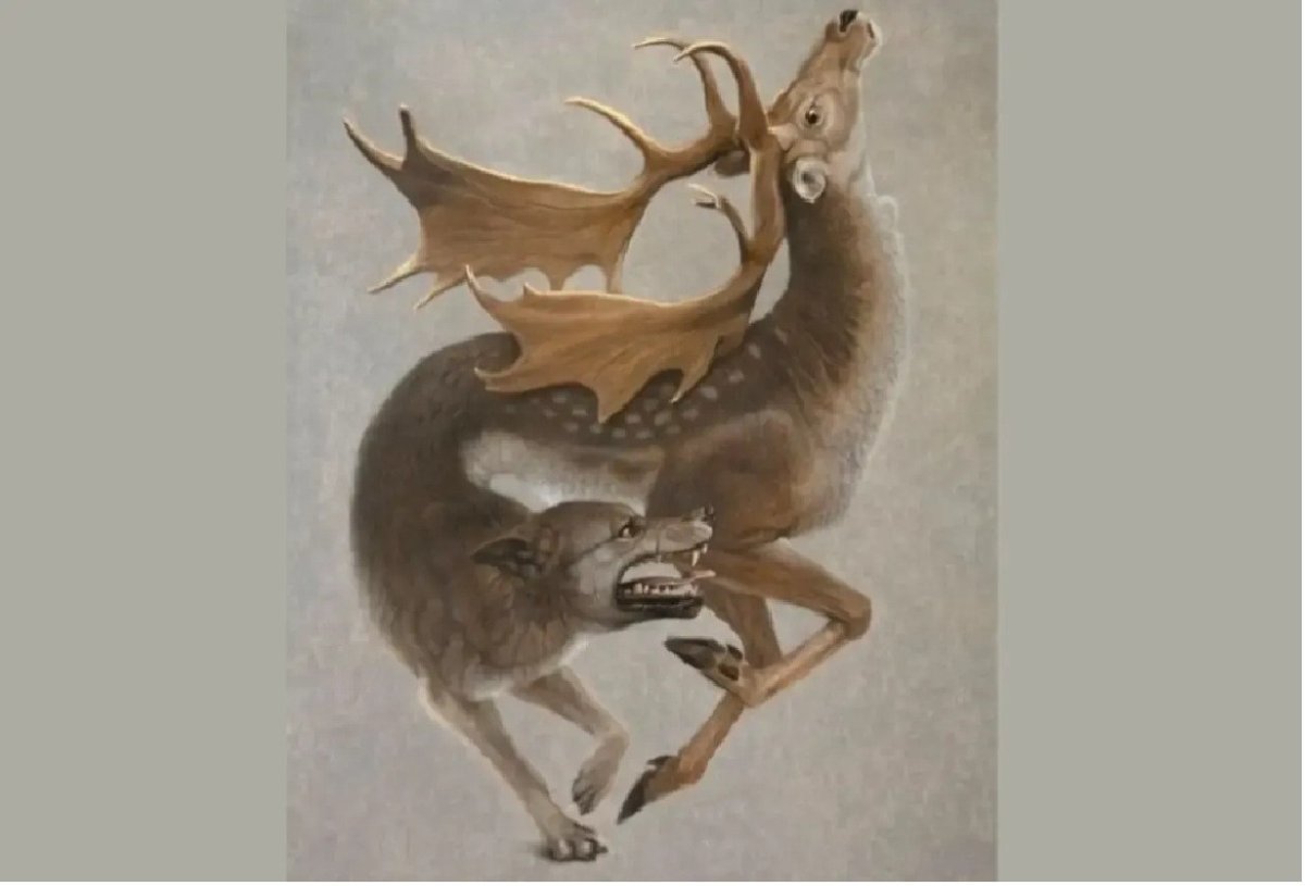 иллюзия с животными