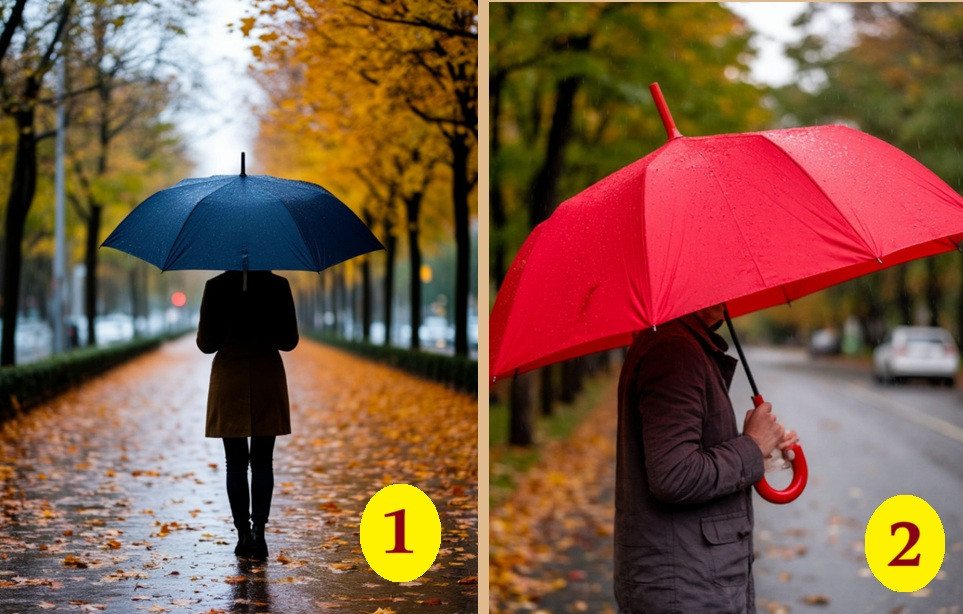 два открытых зонта
