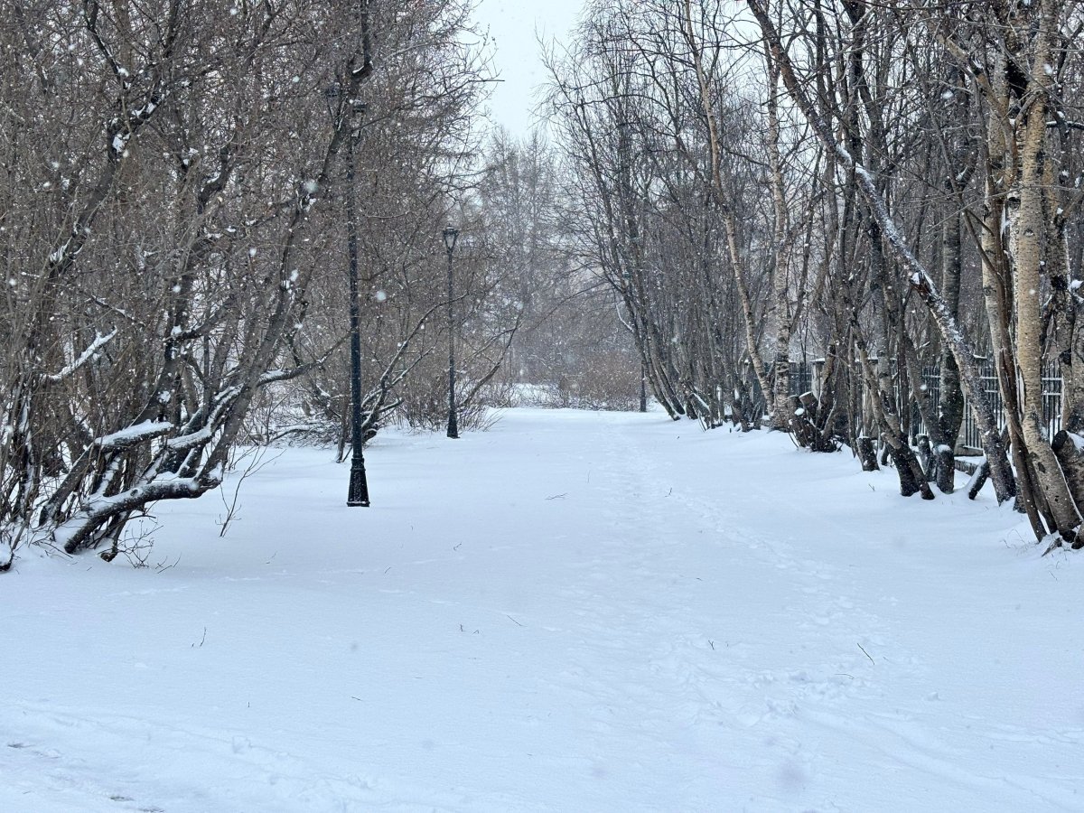 Сквер зимой