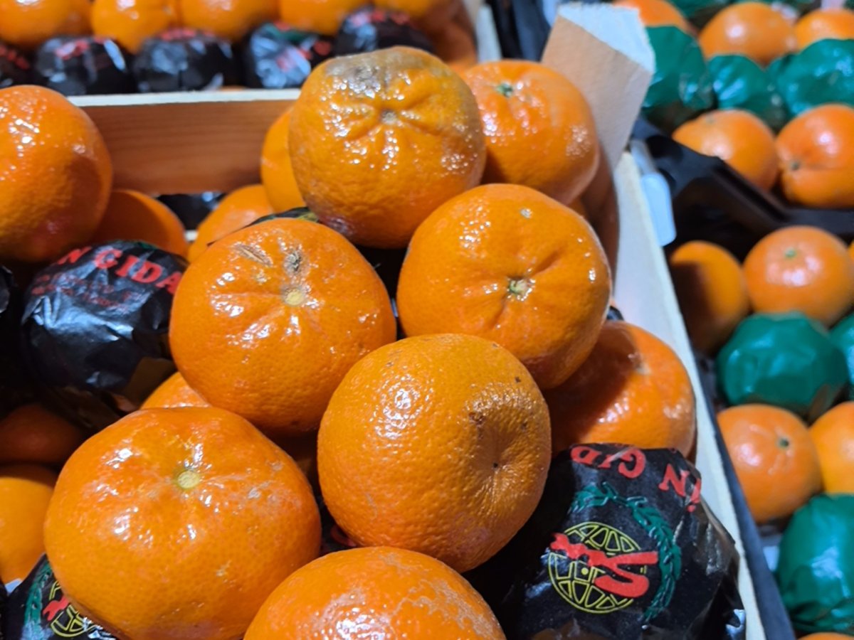 Испорченные мандарины в Мурманске.