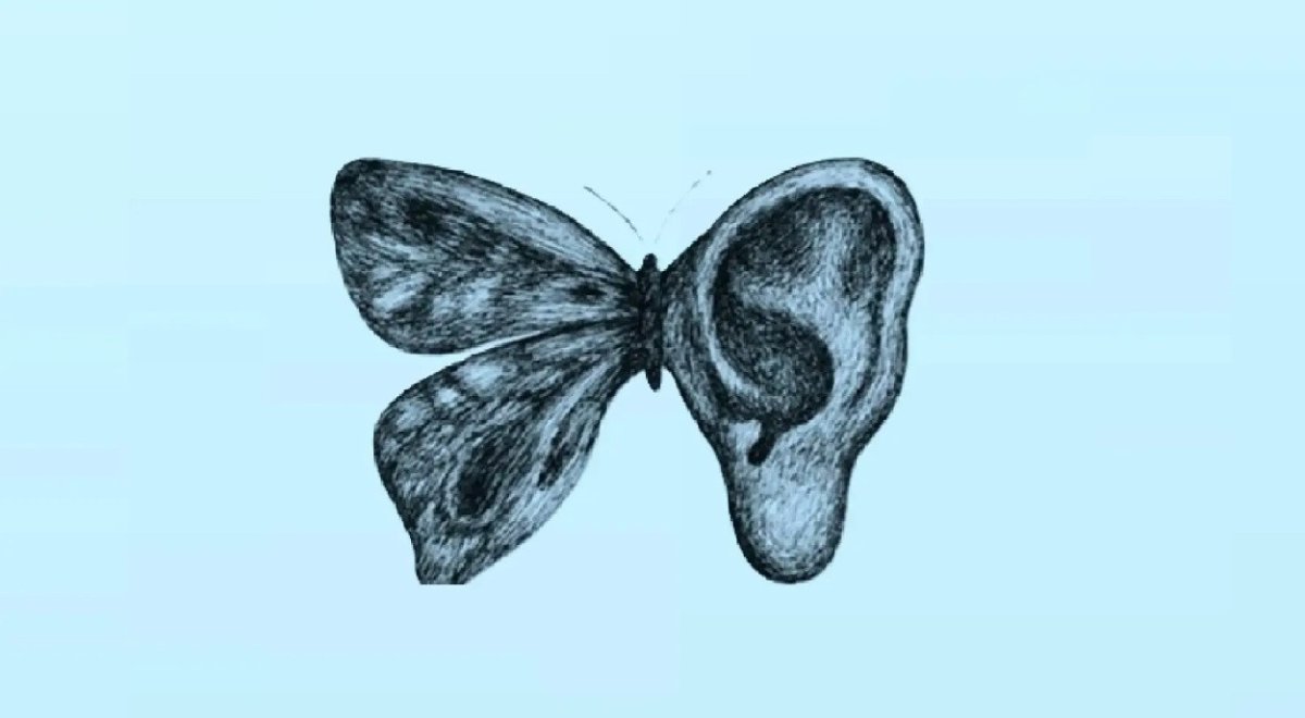 бабочка в виде уха