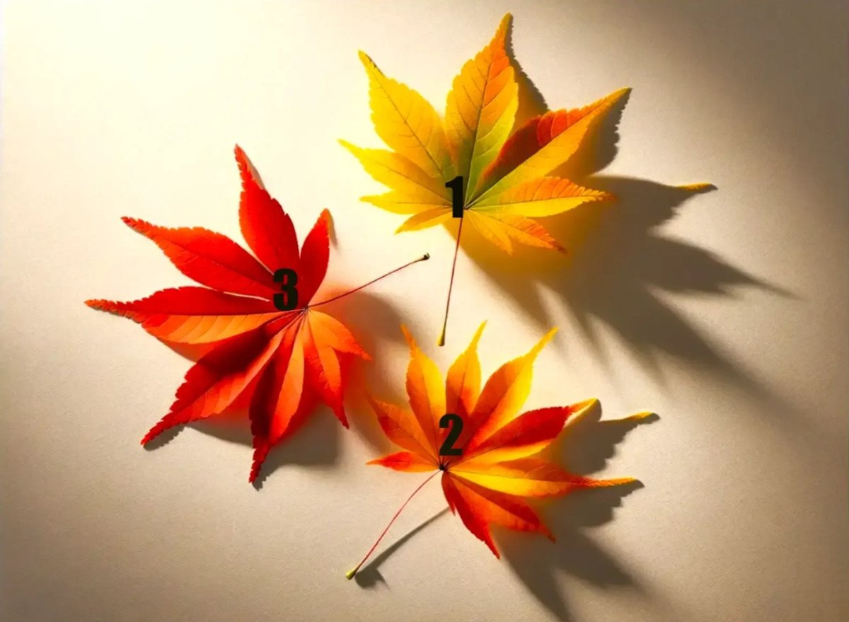 три кленовых листа